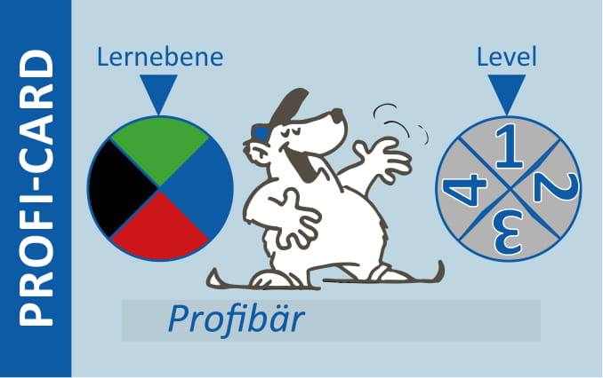 DSLV_Profiskischule_NoFear-Sports_Lernebenekonzept_gruen1