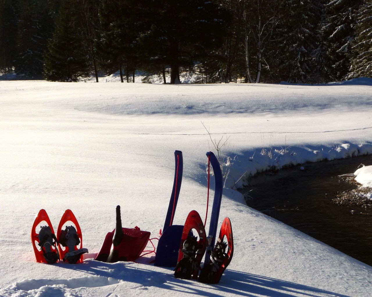 Kooperationspartner_Landhaus_Alpenblick_Leutasch_Garten