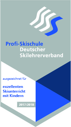 DSLV-Profiskischule_NoFear-Sports_DSLV_Auszeichnung