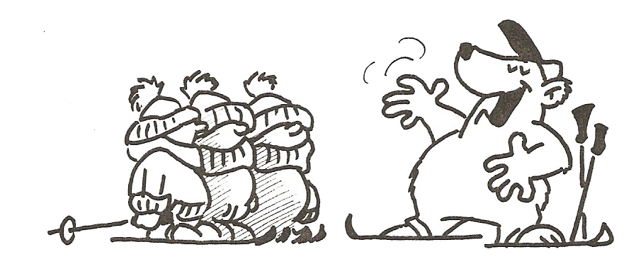 DSLV-Profiskischule_NoFear-Sports_Skilehrer